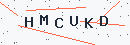 Güvenlik kodu