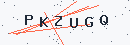 Güvenlik kodu