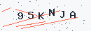 Güvenlik kodu