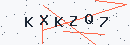 Güvenlik kodu