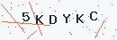 Güvenlik kodu