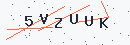 Güvenlik kodu