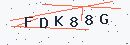 Güvenlik kodu