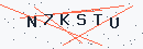 Güvenlik kodu